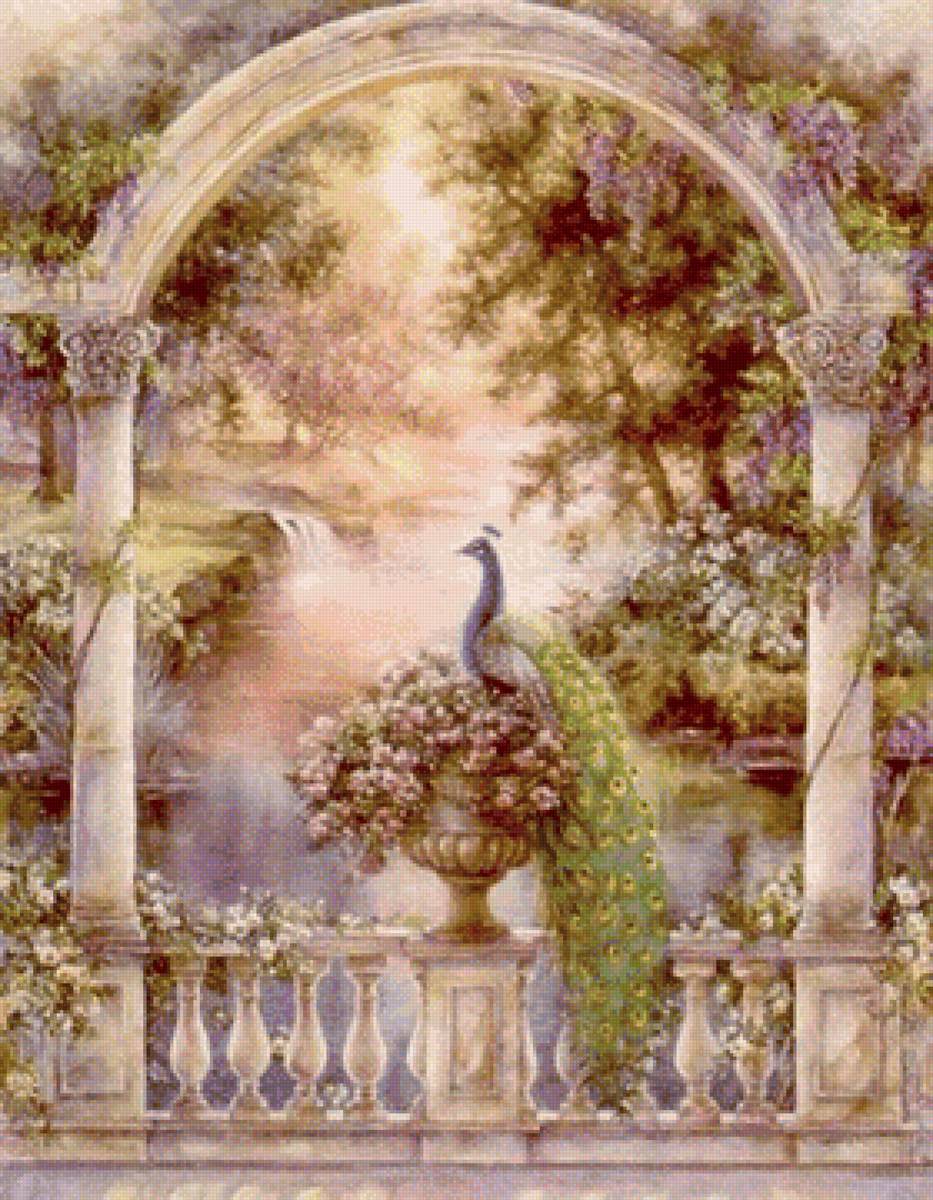 пава у палаці - пава, павлін - предпросмотр