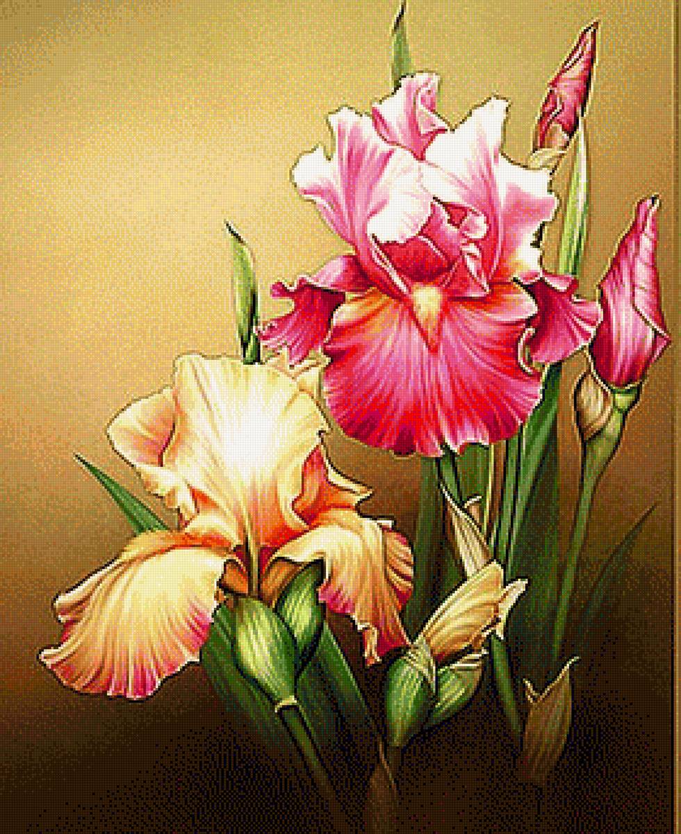 Ирисы - вышивка крестом - предпросмотр
