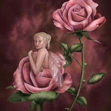 Схема вышивки «roza»