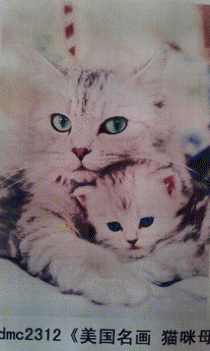 кошка с котенком - котенок, кошка - предпросмотр