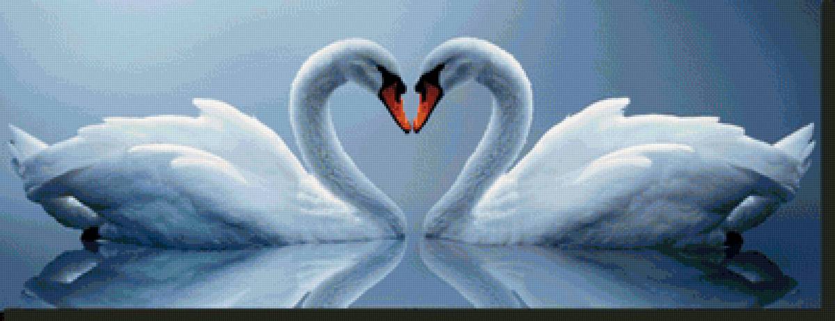 №1441743 - предпросмотр