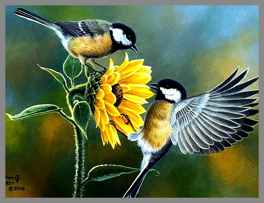 Синички и подсолнух - оригинал