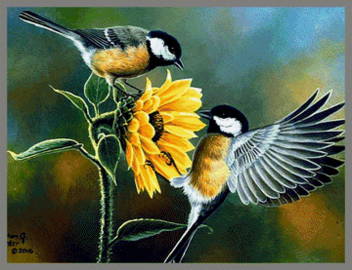 Синички и подсолнух - предпросмотр