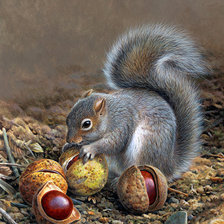 Схема вышивки «№1442182»