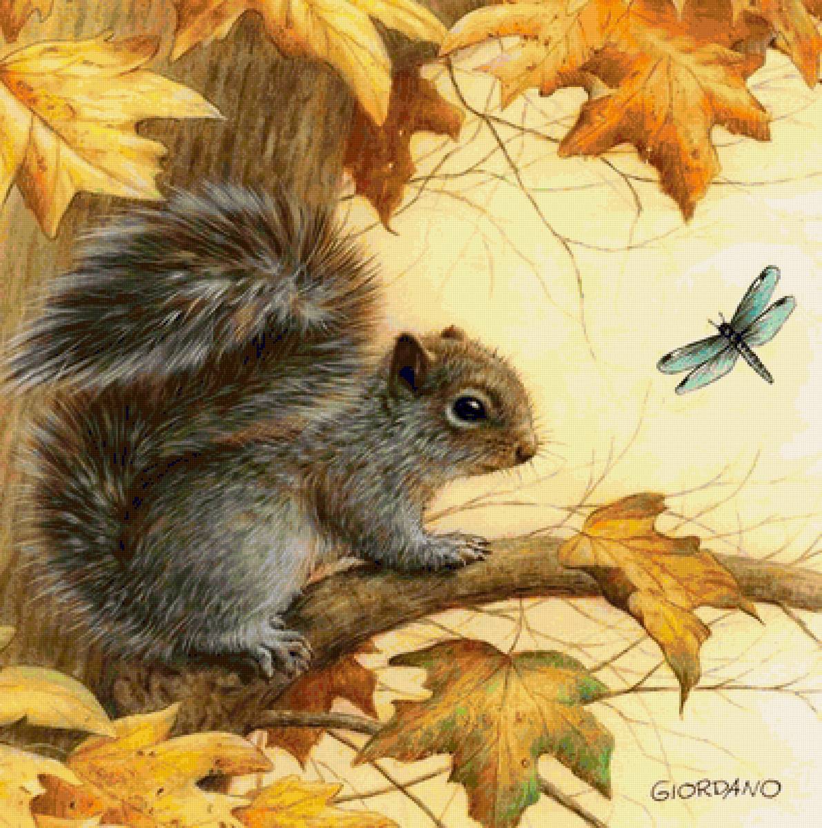 squirrel and dragonfly - предпросмотр