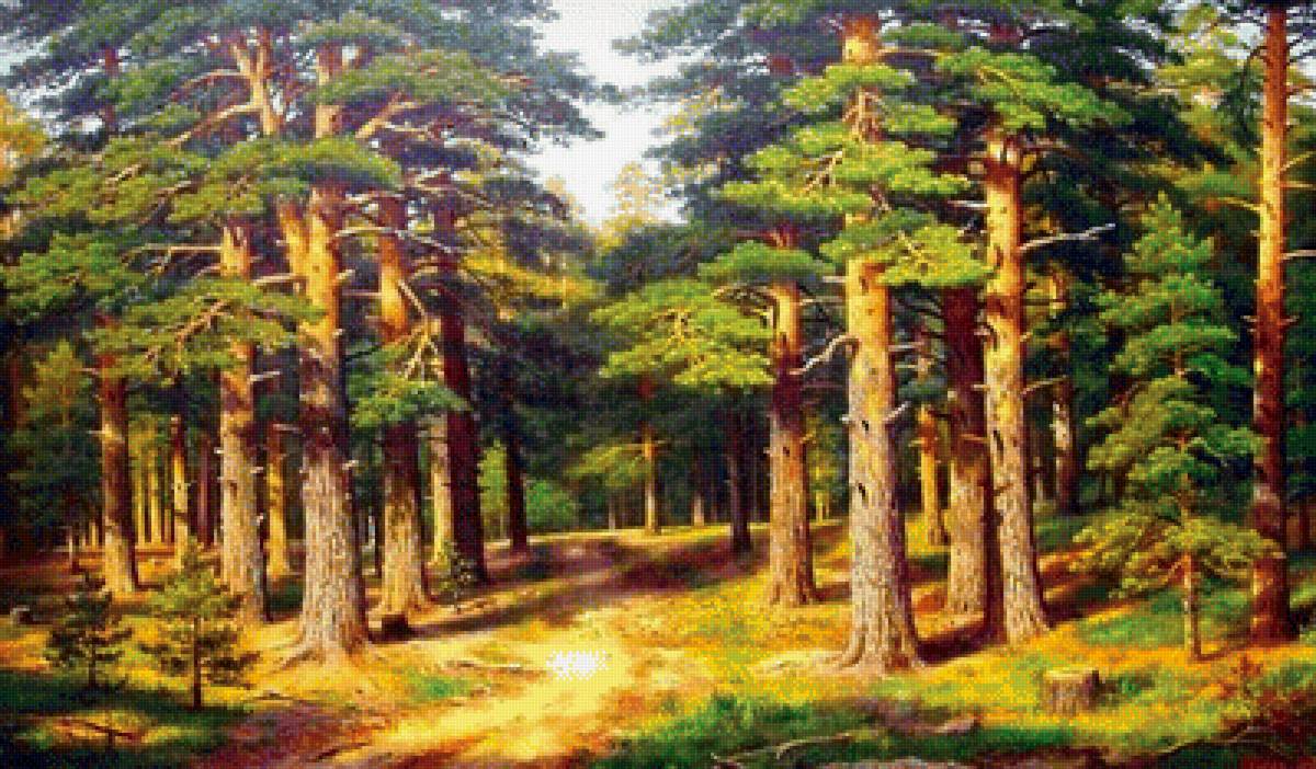 сосновый бор - пейзаж, природа, лето - предпросмотр