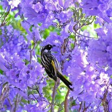 Схема вышивки «кущ2»