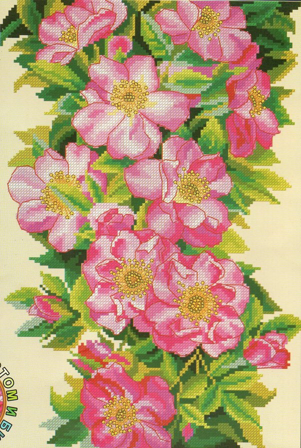 Ветка шиповника - шиповник, цветущая ветка - оригинал