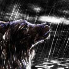 Схема вышивки «волк под дождем»