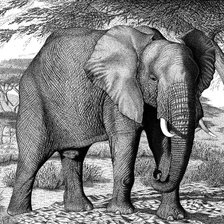 Оригинал схемы вышивки «слон» (№1444115)