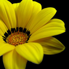 Схема вышивки «цветочек»