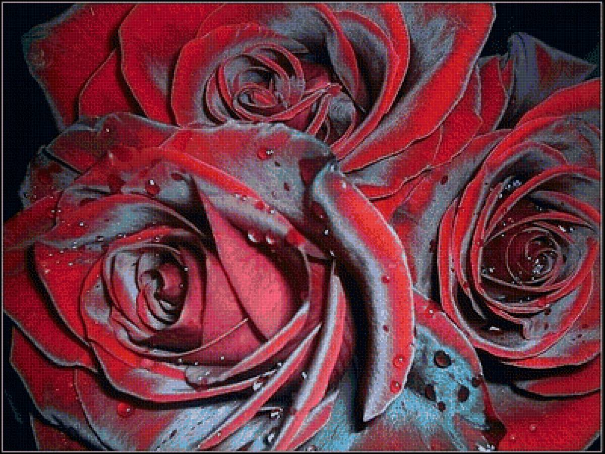 розы - предпросмотр