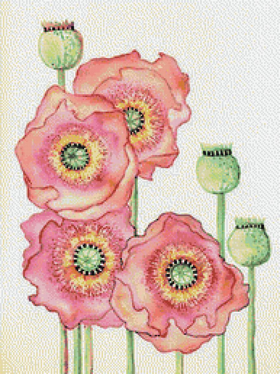 розовые маки - цветы, розовые - предпросмотр