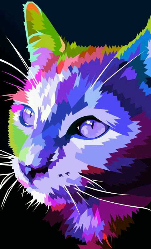 Радужный кот - радужные животные, кот - оригинал