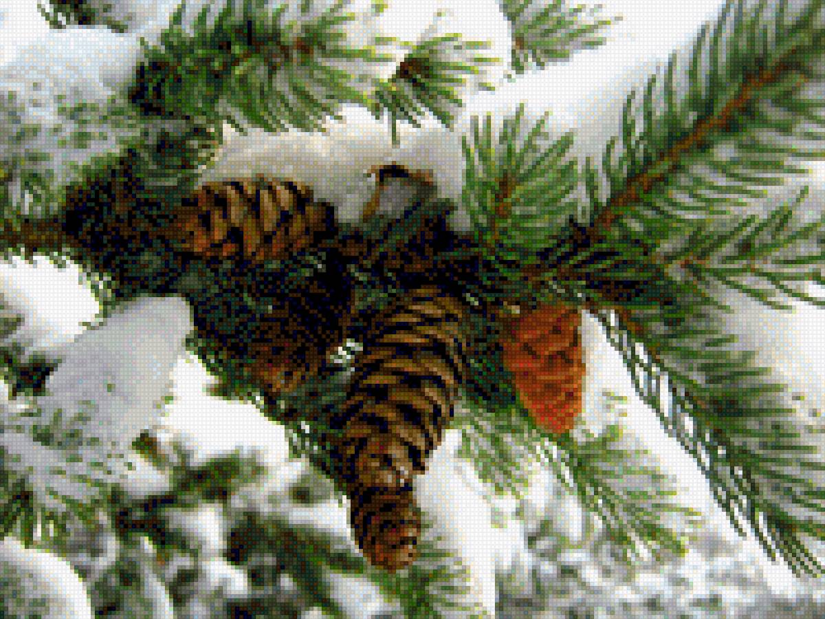 еловая ветка - ель - предпросмотр