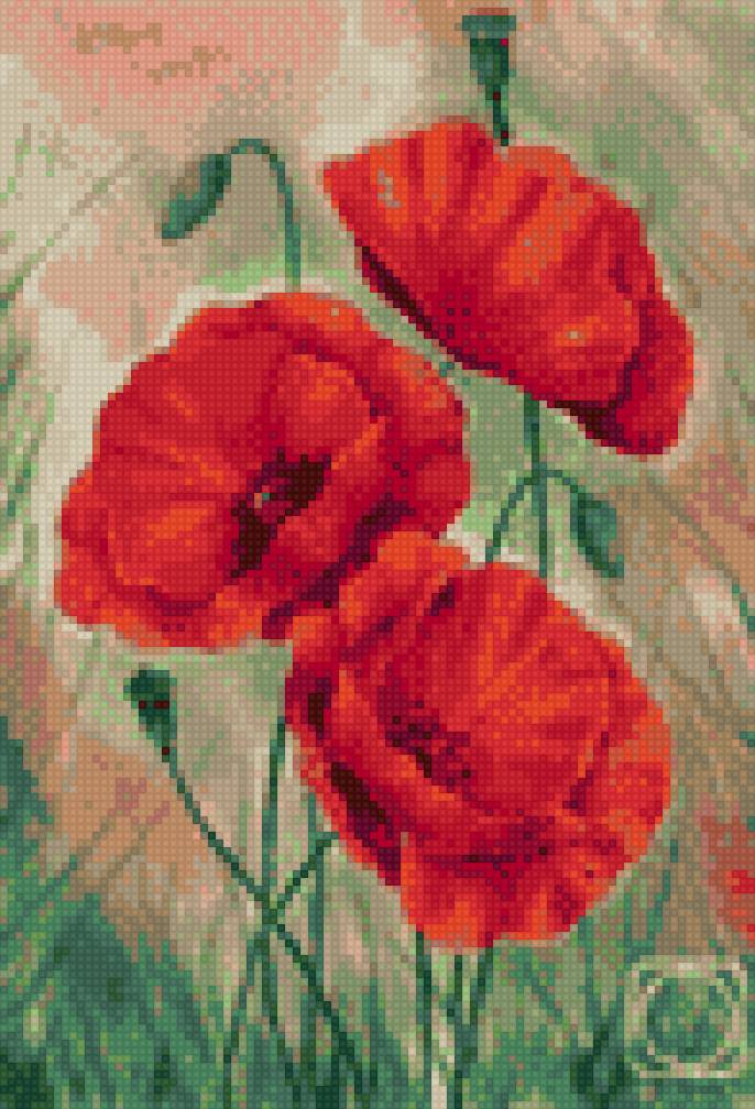 Маки Кирова - предпросмотр