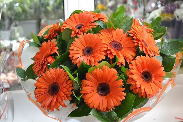 №1446609 - оригинал