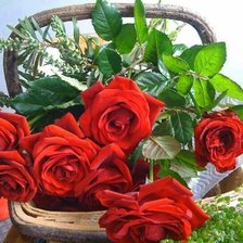 Схема вышивки «№1446627»