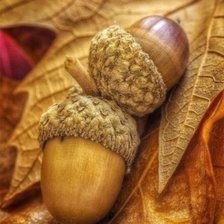 Схема вышивки «№1446894»