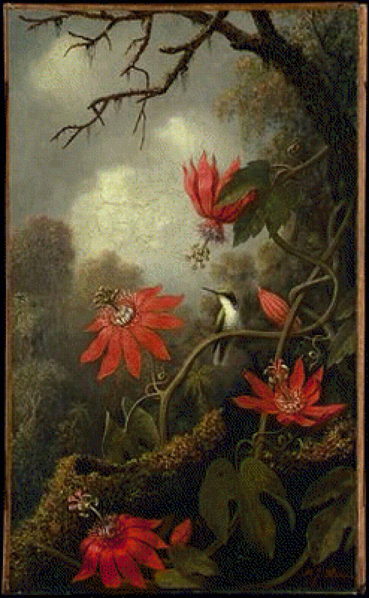 Orhid - предпросмотр