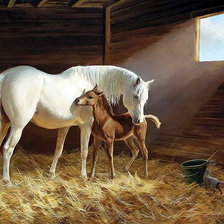 Схема вышивки «№1447381»