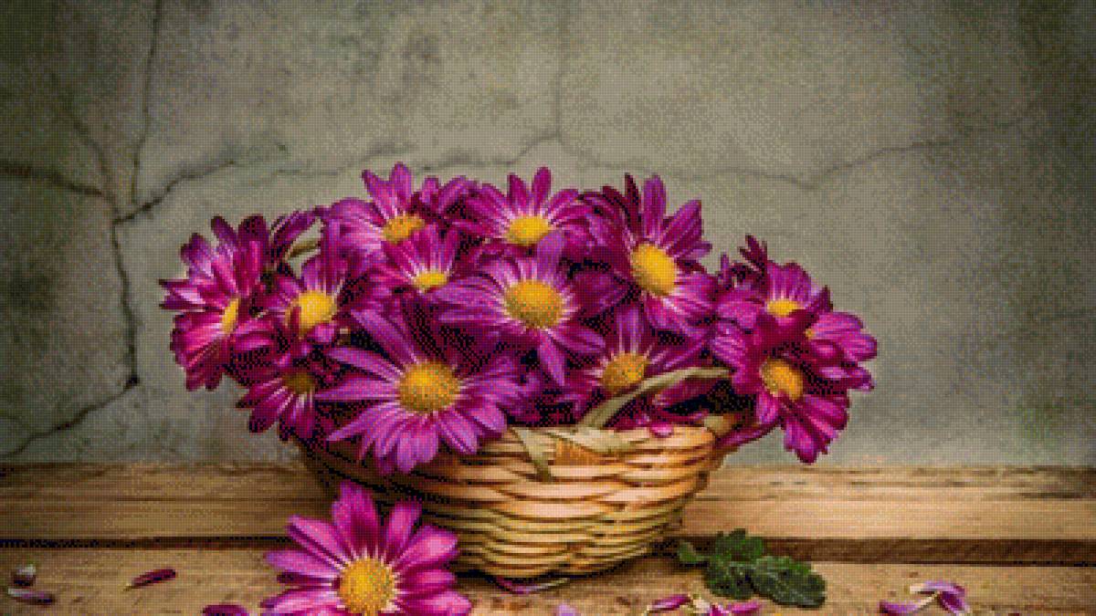 Натюрморт хризантемы - корзина, цветы, натюрморт, хризантемы - предпросмотр