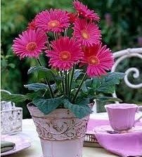 Схема вышивки «№1448279»