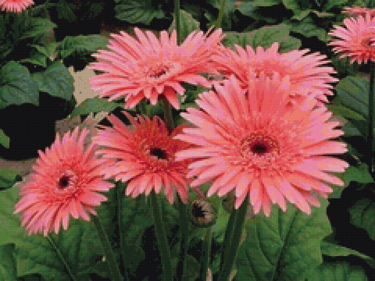 №1448294 - предпросмотр