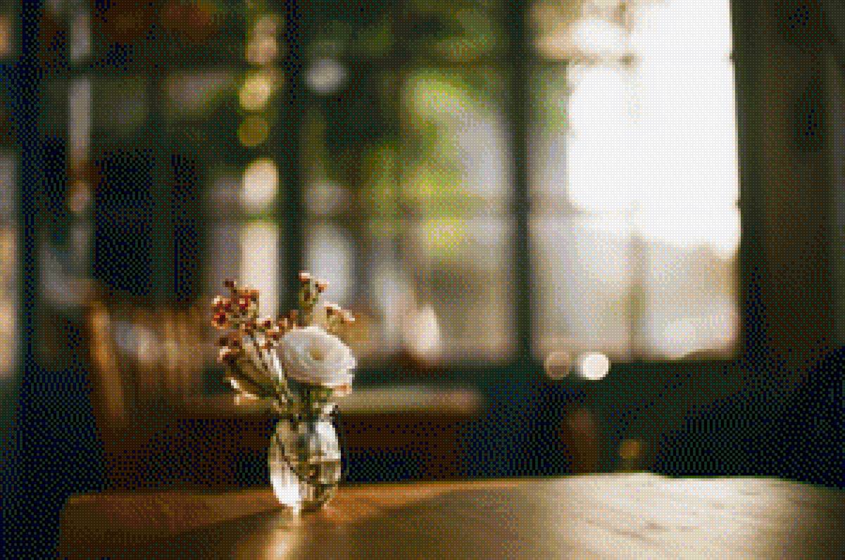 утро - окно, натюрморт, утро, цветы, цветок - предпросмотр