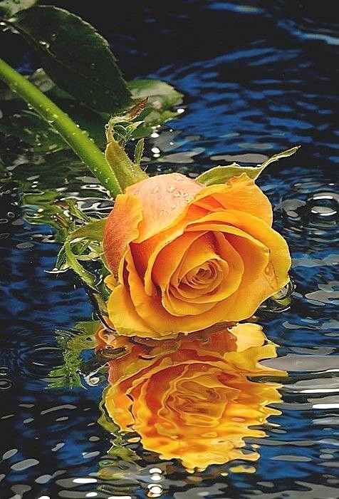 №1448406 - оригинал