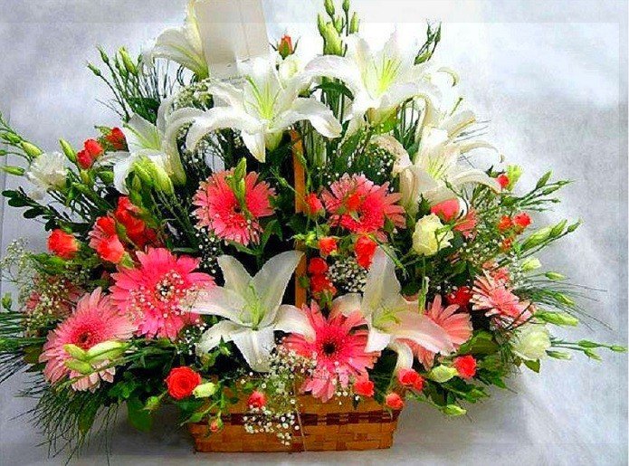 №1449072 - оригинал