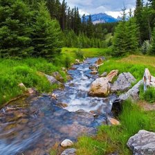 Схема вышивки «№1449094»