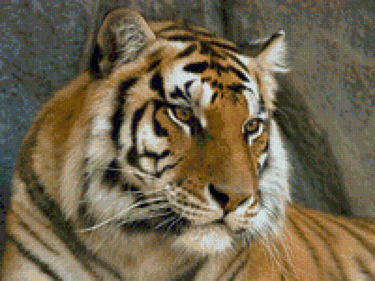 тигр - тигр - предпросмотр