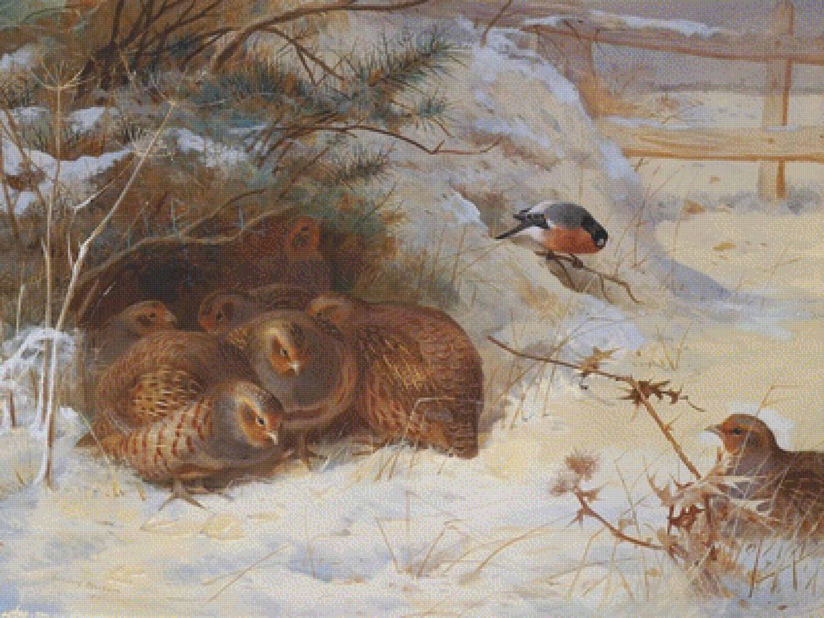 Ptici - предпросмотр