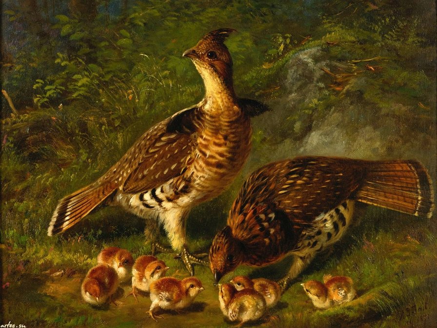 Ptici - оригинал