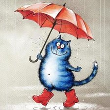 котик под дождем
