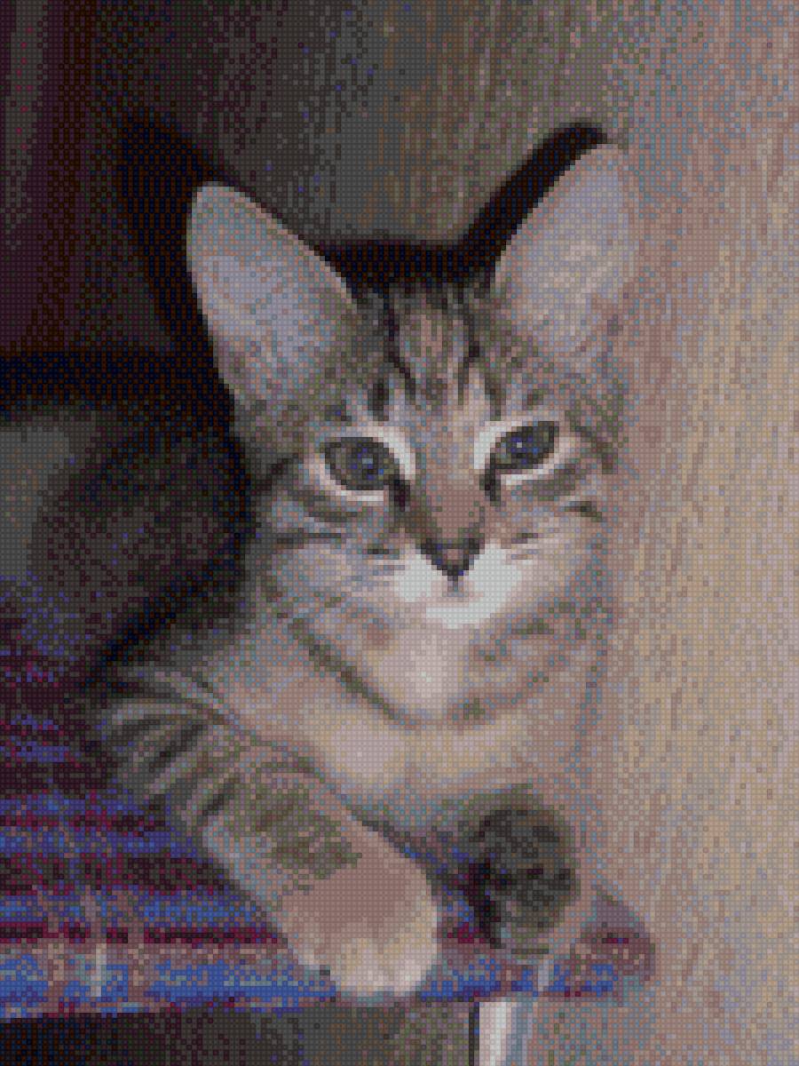 Маруся - кошка, маруся - предпросмотр