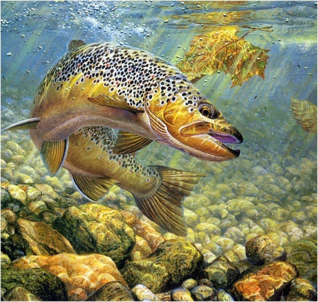 №1450409 - оригинал