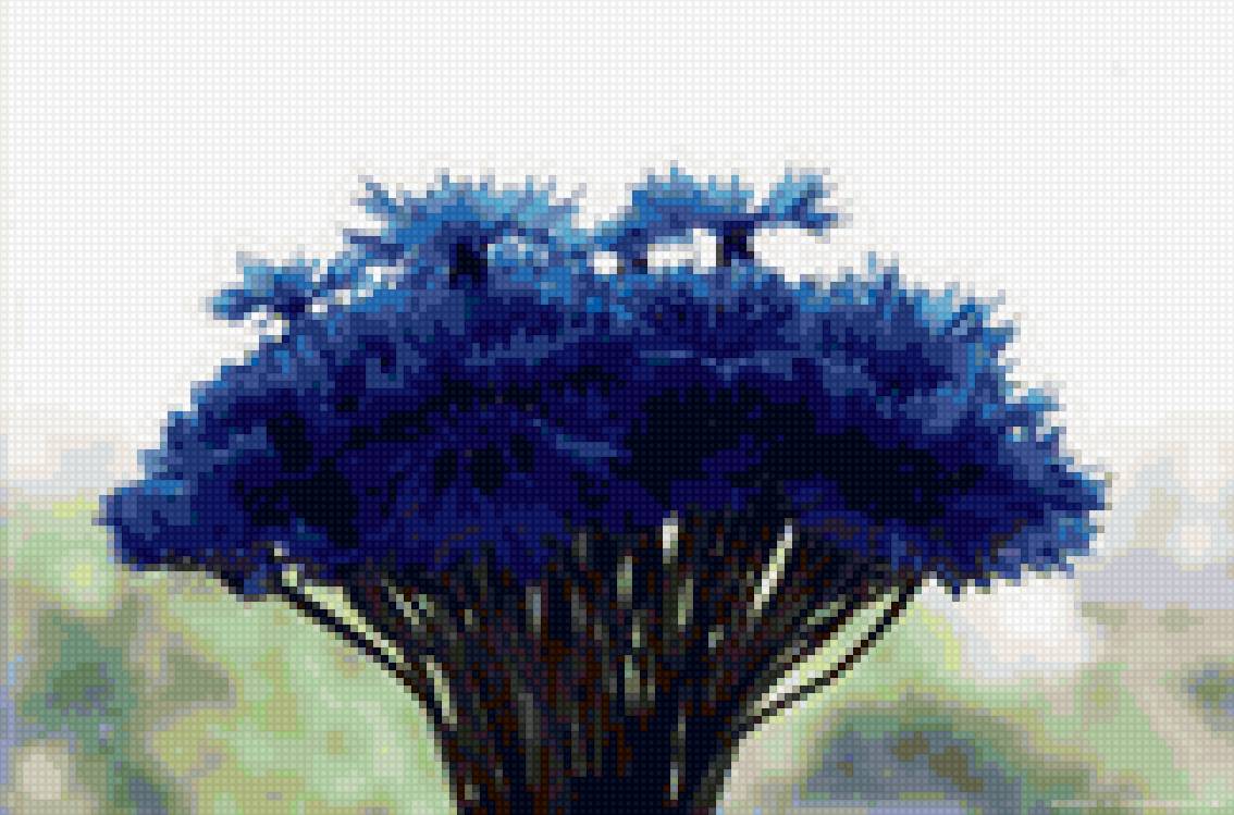 Васильки - васильки, цветы, полевые цветы, букет - предпросмотр