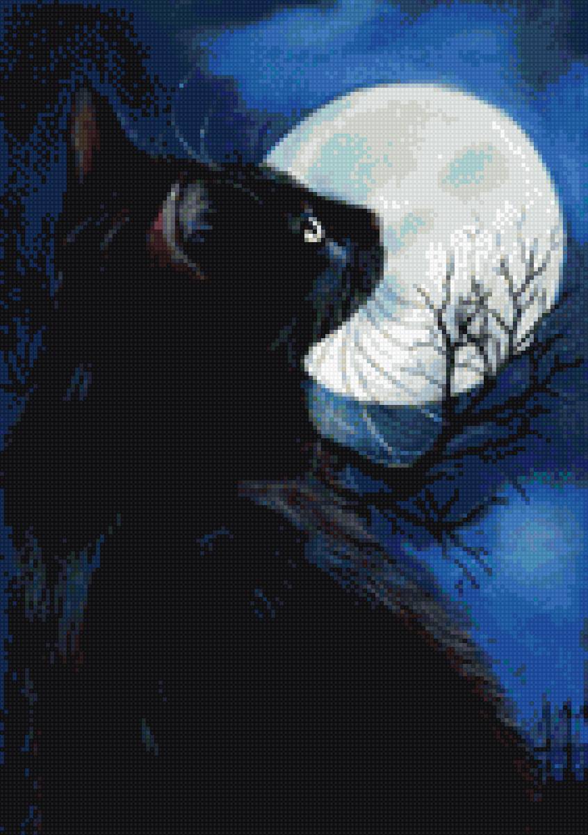 лунный кот - предпросмотр