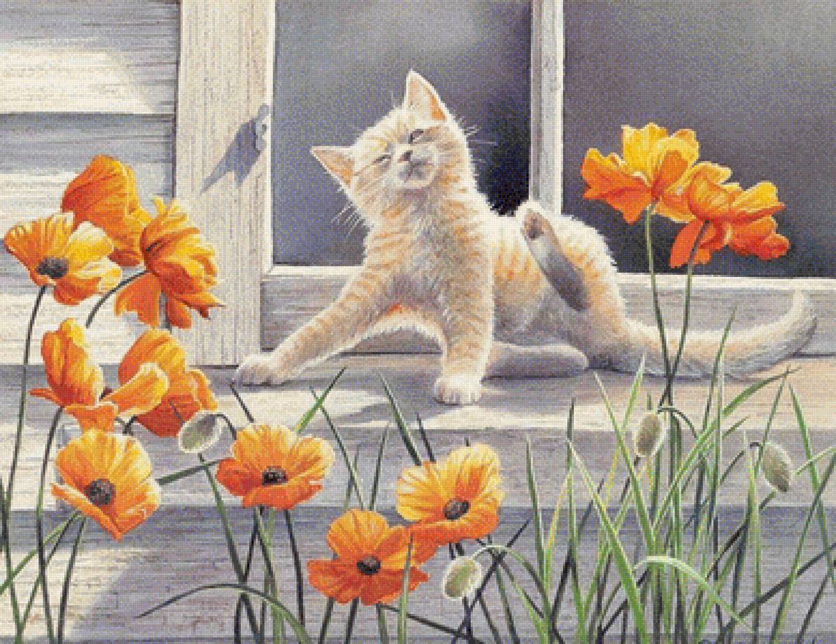 №1452076 - предпросмотр