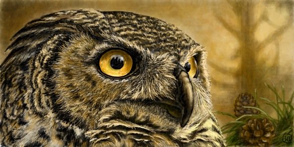сова - птицы, дикие животные - оригинал