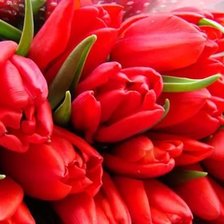 Схема вышивки «Тюльпаны»