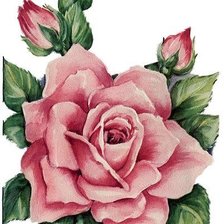 Оригинал схемы вышивки «Роза для подушки» (№1453197)