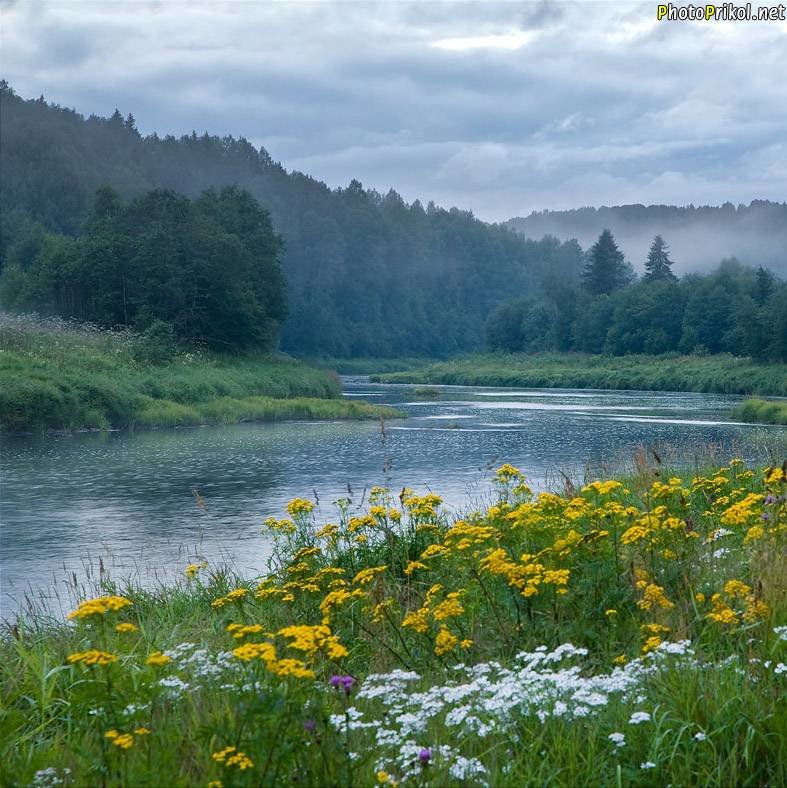 река - природа - оригинал