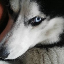 Схема вышивки «Умыч»