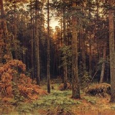 Схема вышивки «Shishkin»