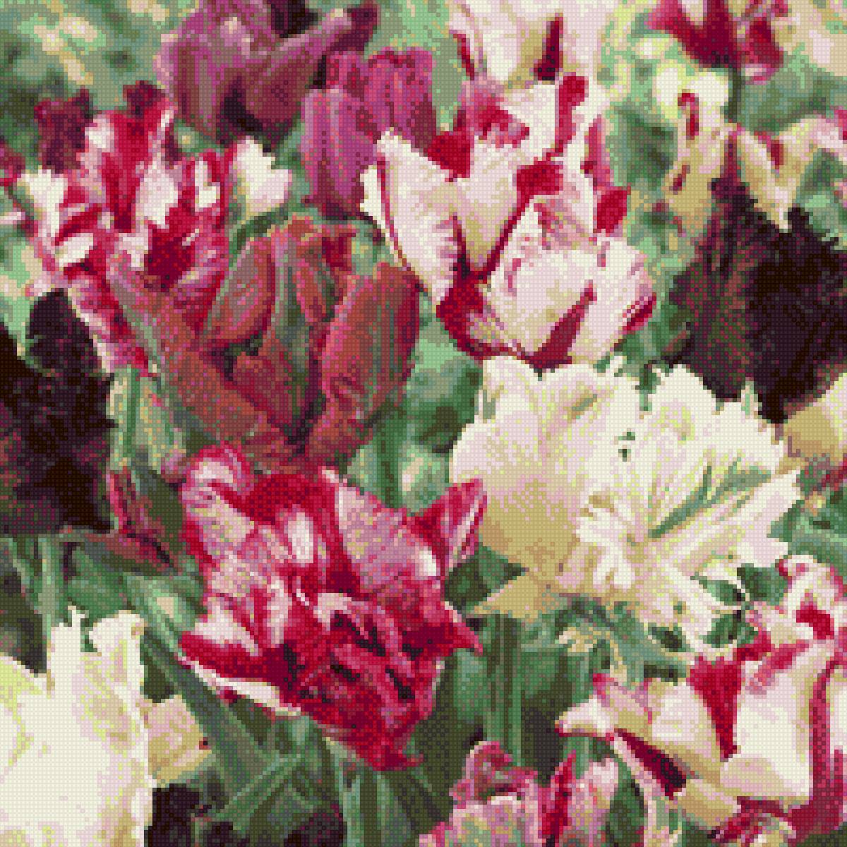 Тюльпаны - тюльпаны - предпросмотр