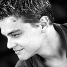 Схема вышивки «леонардо ди каприо»