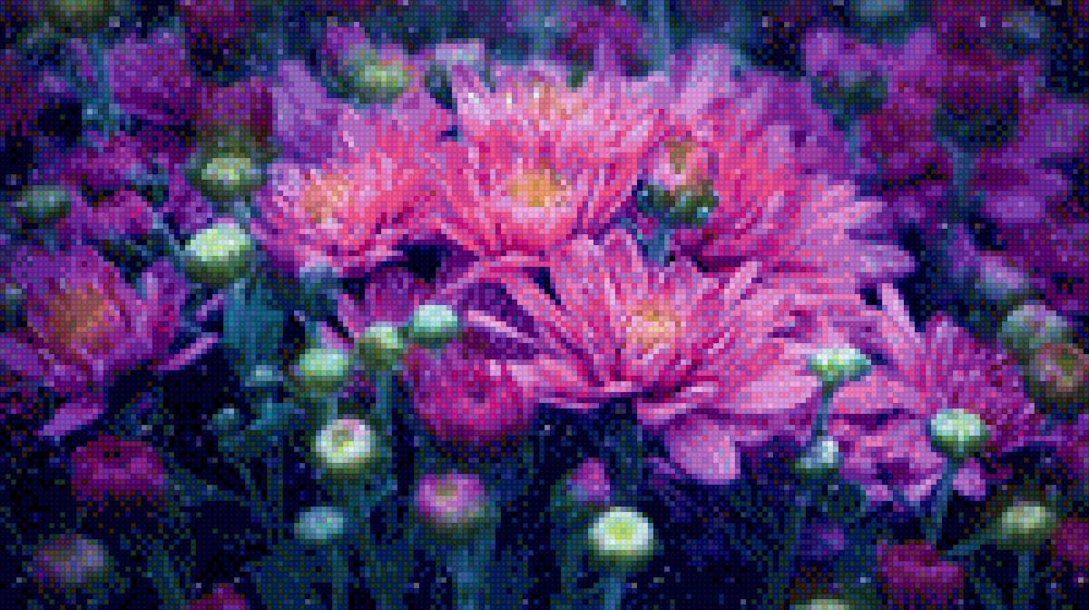 хризантемы - цветы - предпросмотр